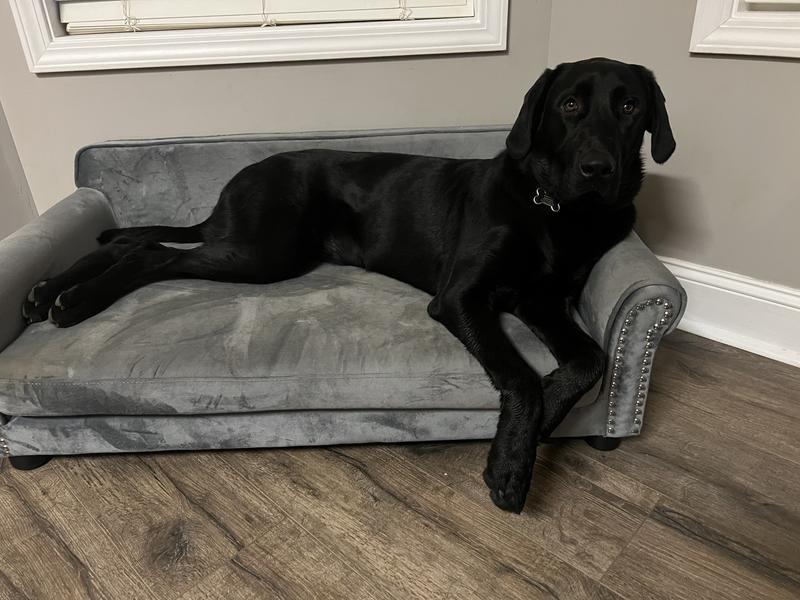 FRISCO Sofa Pet Bed with Removable Cover, Gray, Medium