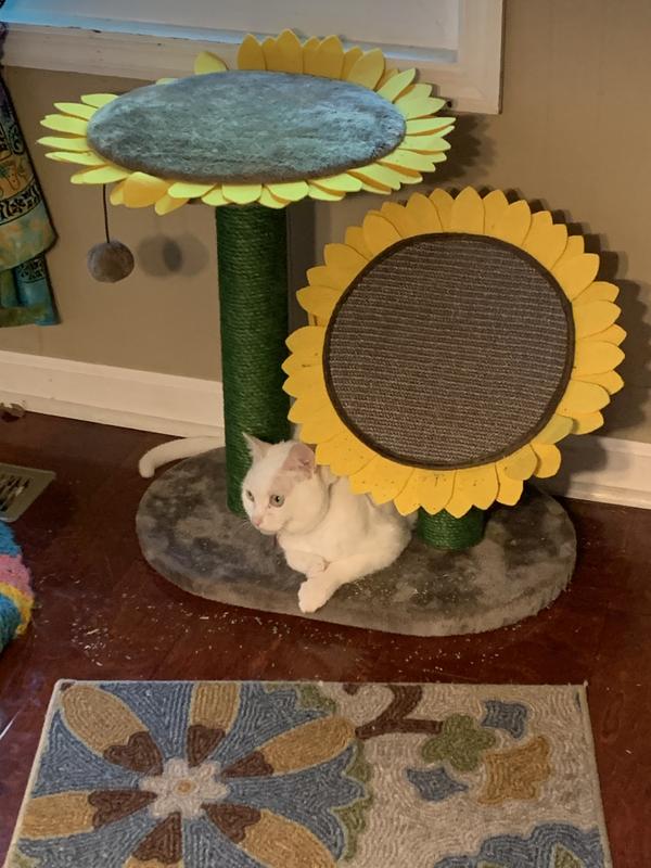 FRISCO Sunflower Cat Scratching Post, Two Post with Lounger
