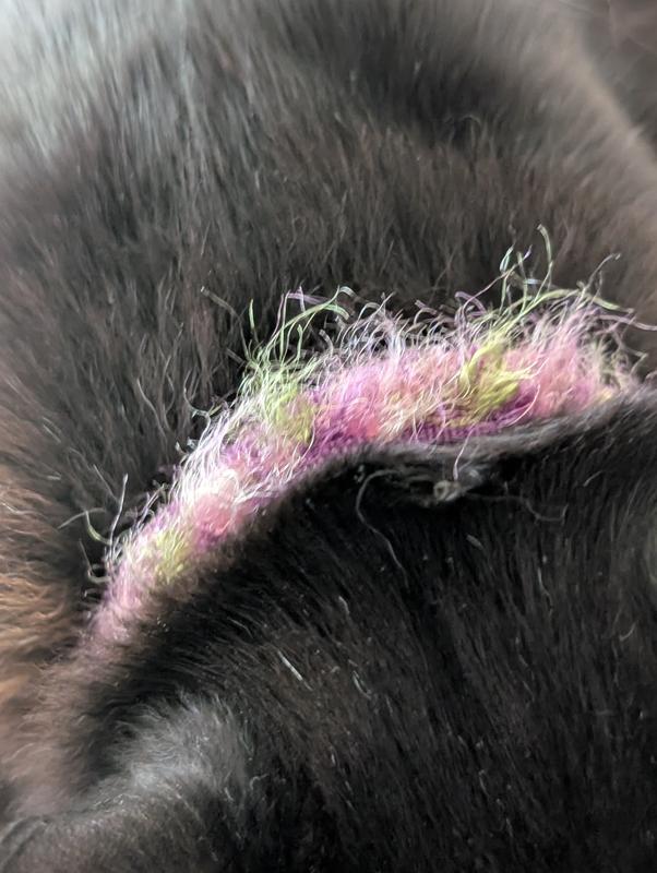The collar ended up to be a big bunch of fuzz!