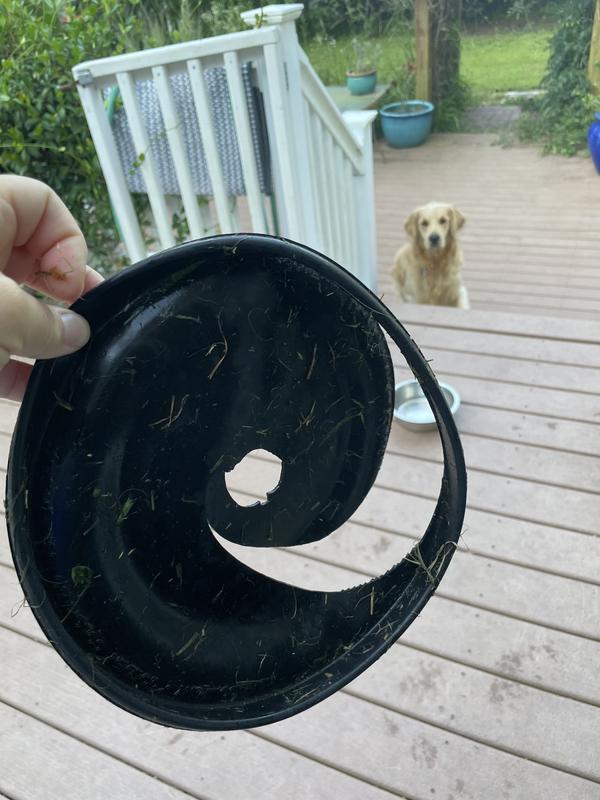 KONG Extreme Flyer Frisbee – Ruff Swag