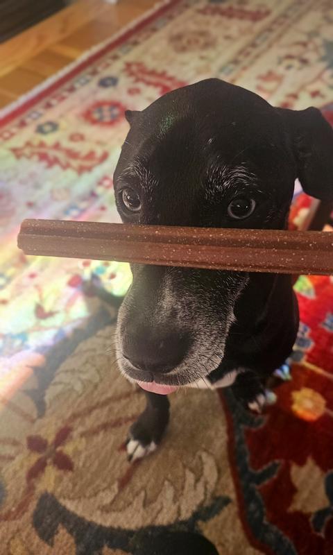 Luna anticipating with calm