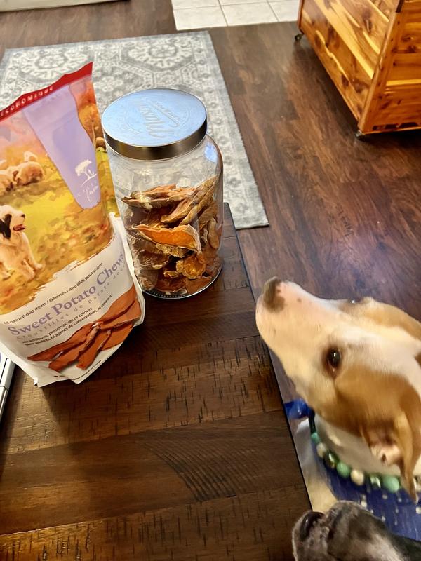 Dog Treats For Large Dogs Easy DIY Sweet Potato Dog Chews Recipe