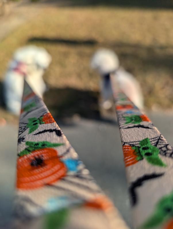 Strong Clasp Perfect Length