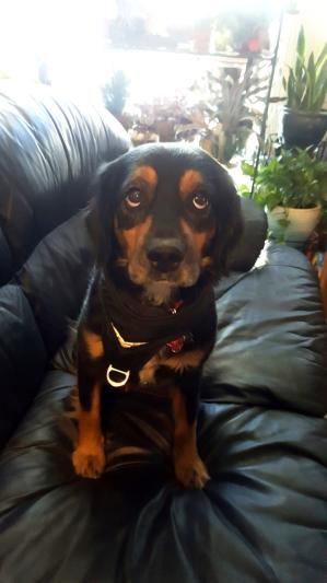 Who me... I didn't do it