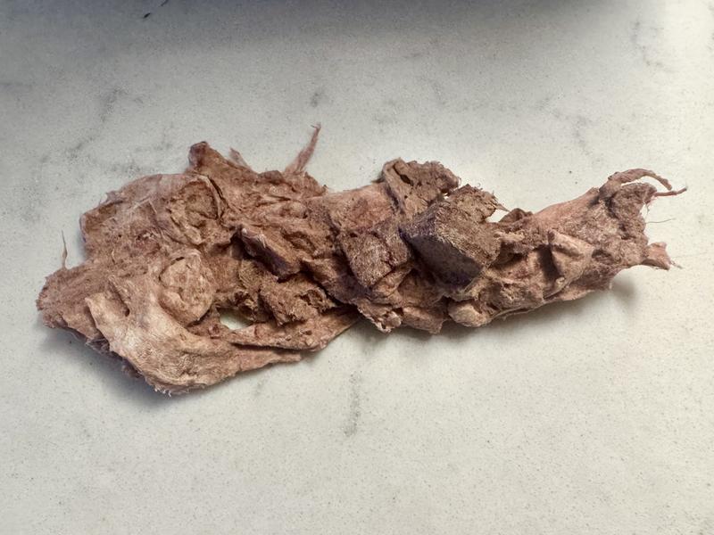Yucky mass of hard liver gunk.