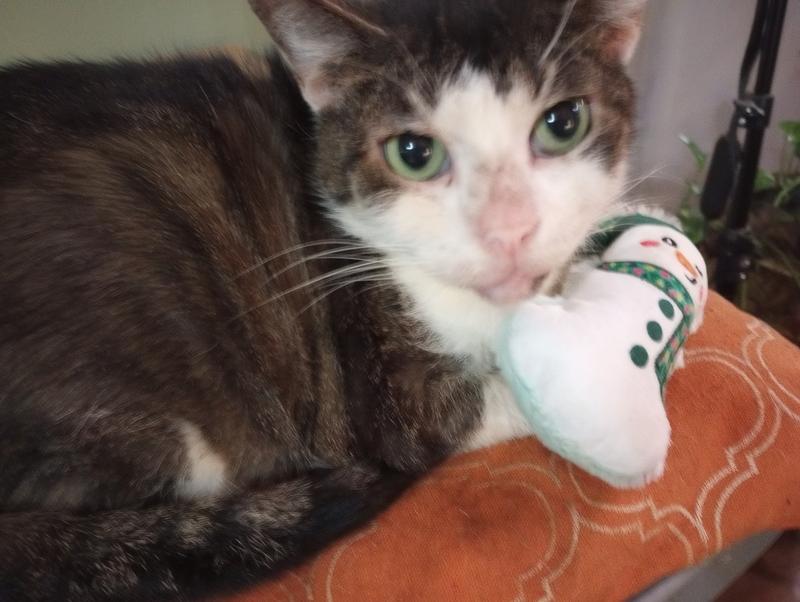 This toy is very snuggle worthy! :)