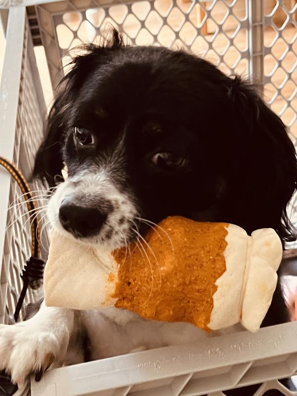 Riley was a happy boy!