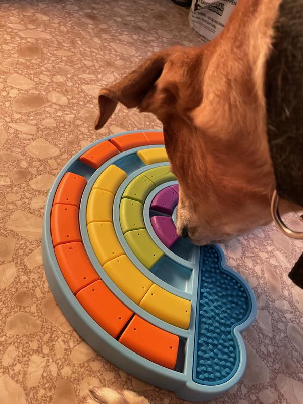 Fun activity for Remmie