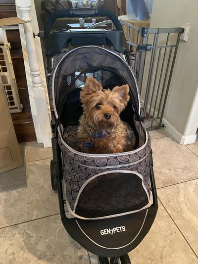 Gen7pets promenade pet stroller gold outlet nugget