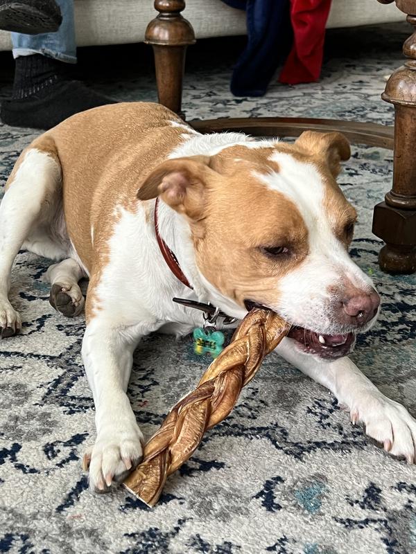 PAWSTRUCK Braided Bully Sticks Dog Treats, 1lb bag, 9in