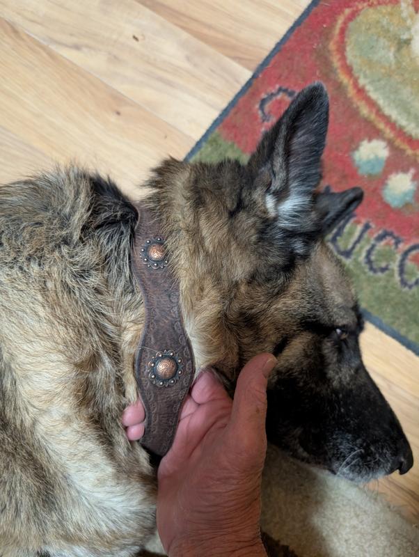 We love it and it is holding up great. But how do I get the sheen back ?