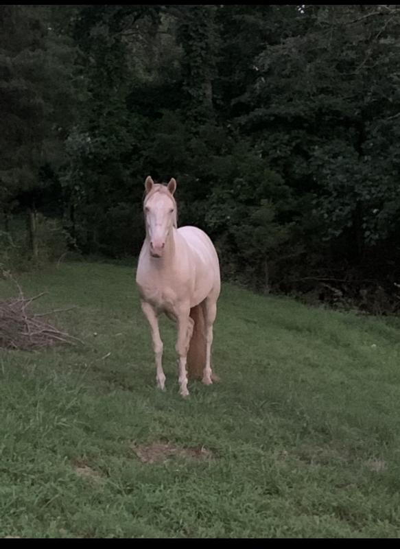 Waiting for warmer weather to go try out our new stirrups!!