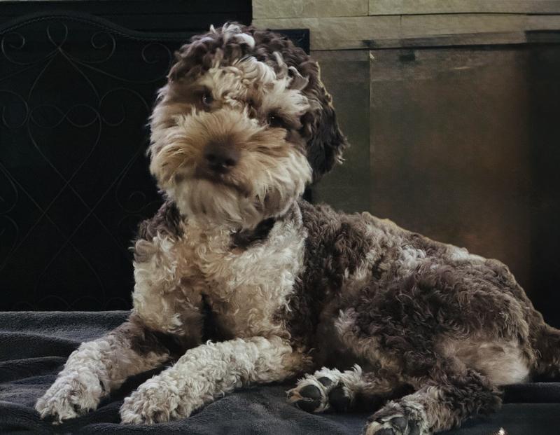 Such a handsome boy!