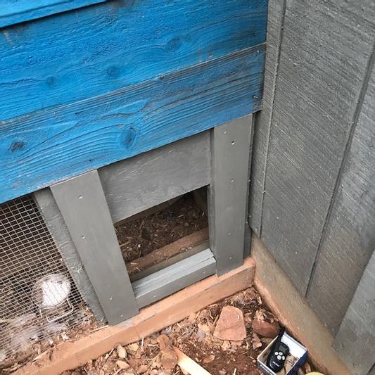 Discontinued CHICKENGUARD Locking Combi Extreme Chicken Coop Door Opener & Self Locking Door