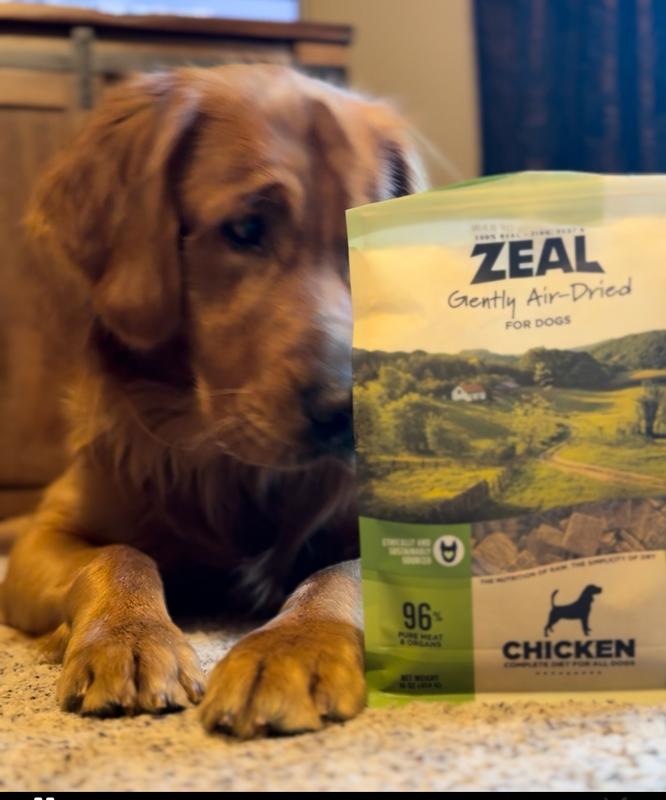 Freddy’s favorite food!