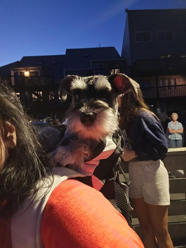 July 4th... Fireworks time