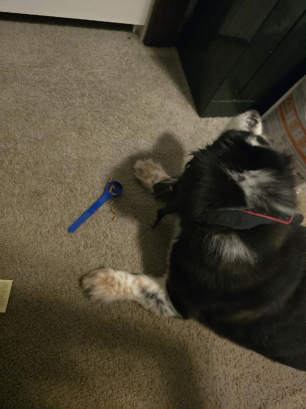 Munch munch munch...