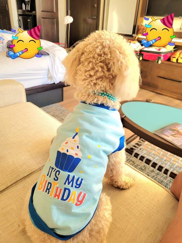 Cannoli Birthday T-shirt.
