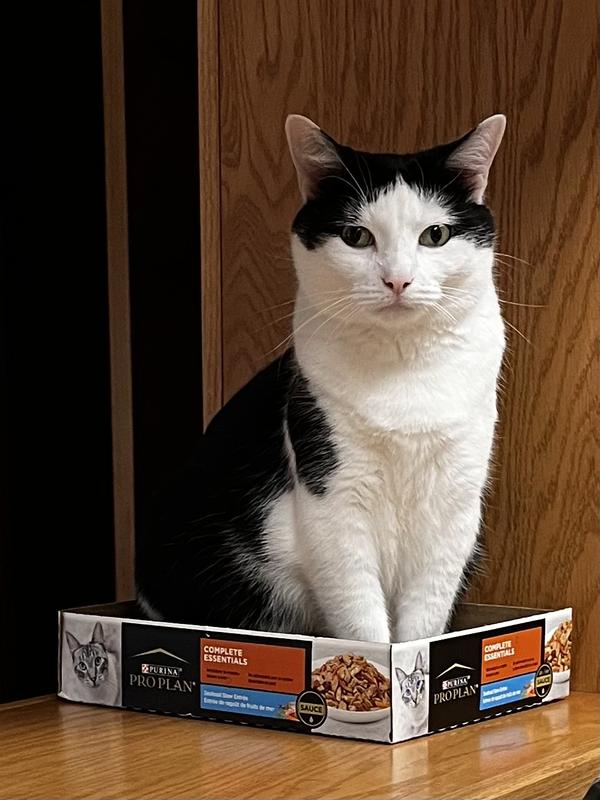 This is Peggy, reminding me to keep the seafood stew in the auto ship orders