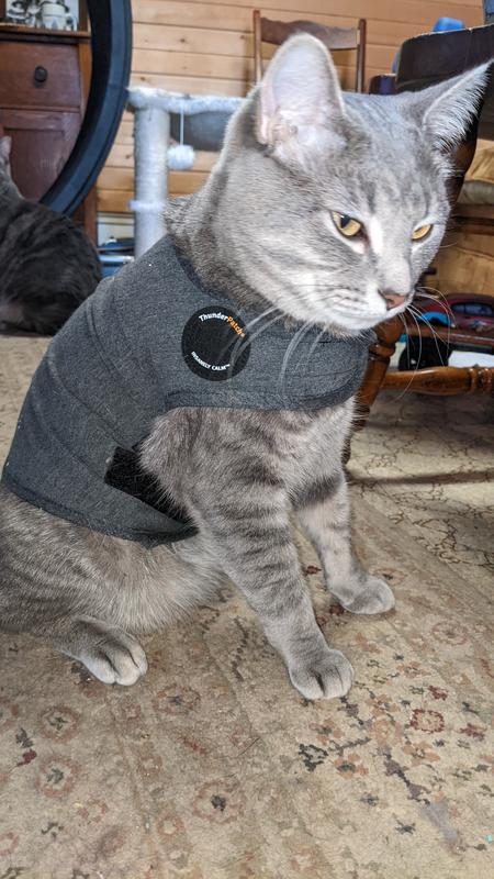 THUNDERSHIRT Anxiety Vest for Cats Heather Grey Small Chewy