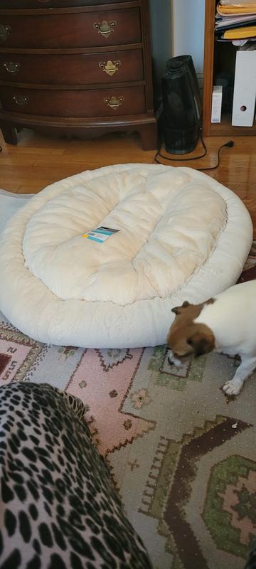 TERRIBLE BED. mY DOG IS UPSET.