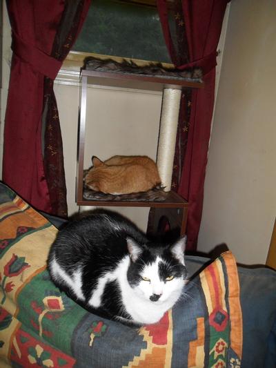 Old man Ernie on the middle level