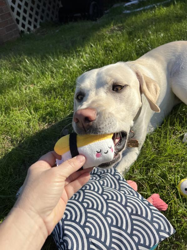 Toys seem pretty durable and well made and for my dog well but might not be the best for really aggressive chewers.