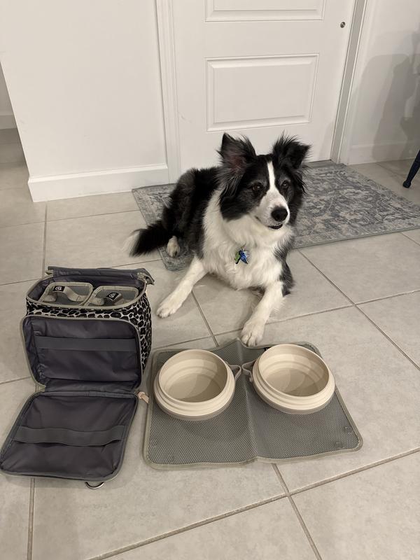 Jax with his travel cleverpup