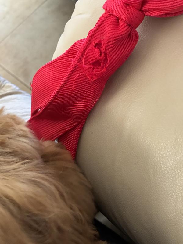 What are you chewing?