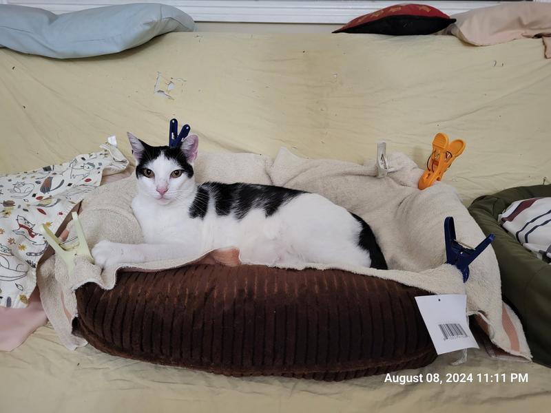 Jacinto seems to like it