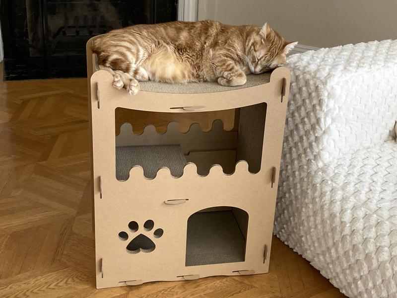 One of his new favorite napping spots.