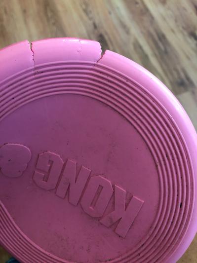 Kong frisbee clearance walmart