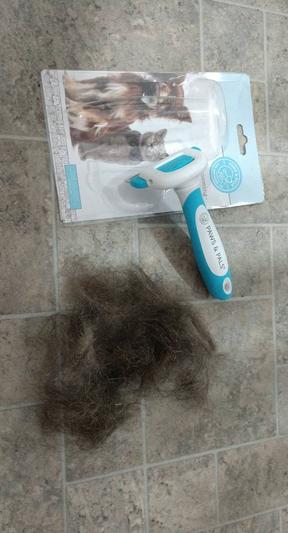 Paws and 2025 pals deshedding tool