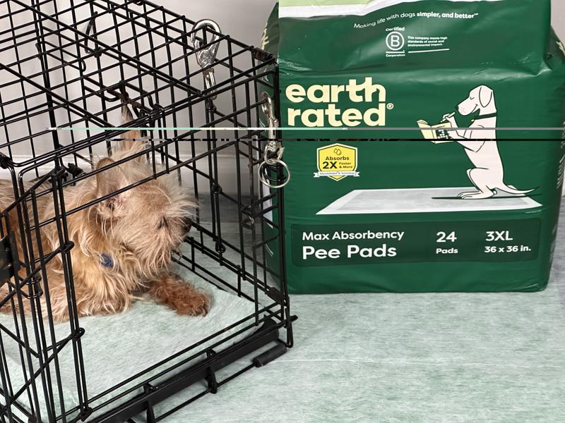 My pup loving these pads in the crate and on the floor
