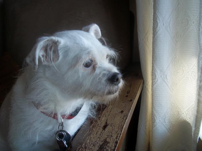 Nancy waiting for the mailman.