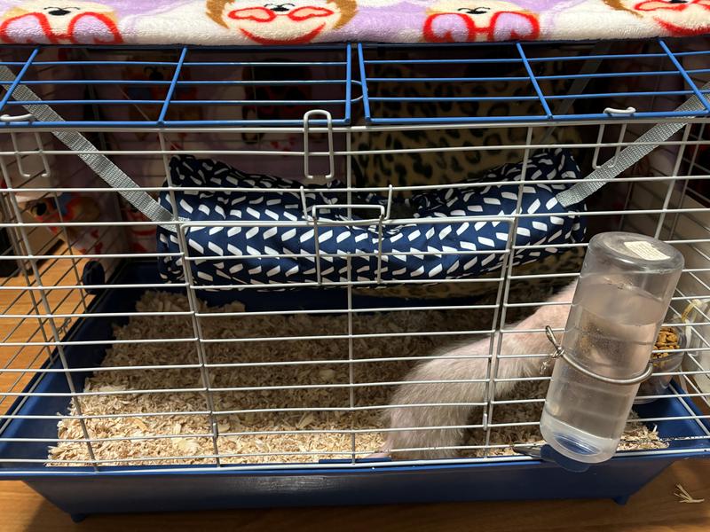 Fits well inside ferret cage!
