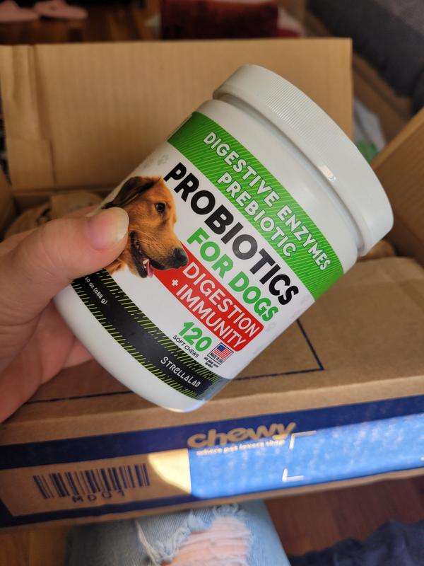 Chewy probiotics for dogs sales