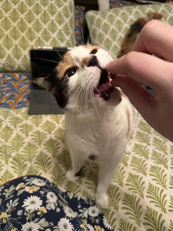 Feed me, mother
