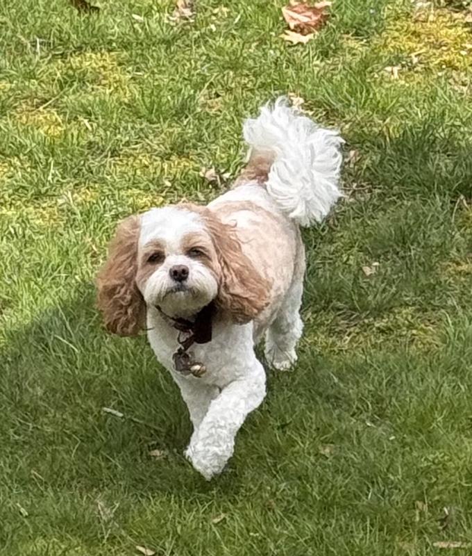 Breakfast bell is ringing!