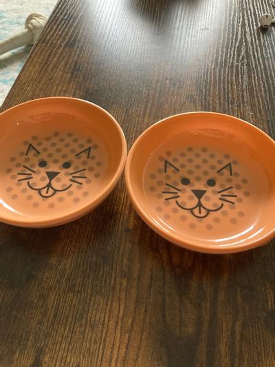 Van ness ecoware outlet cat dish