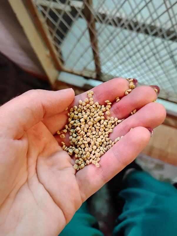 Definitely super fine