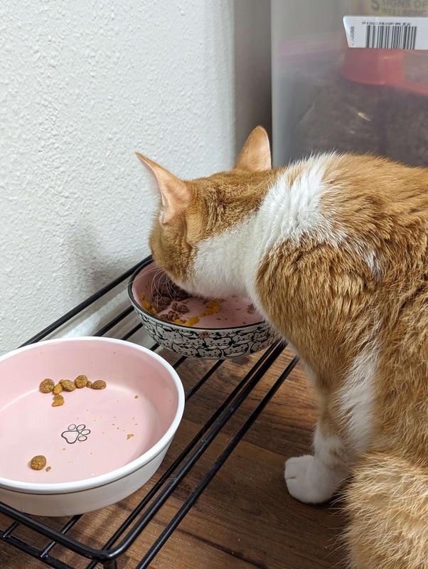 BFF Big Feline Feast Variety Pack Canned Cat Food, 10oz, case of 12