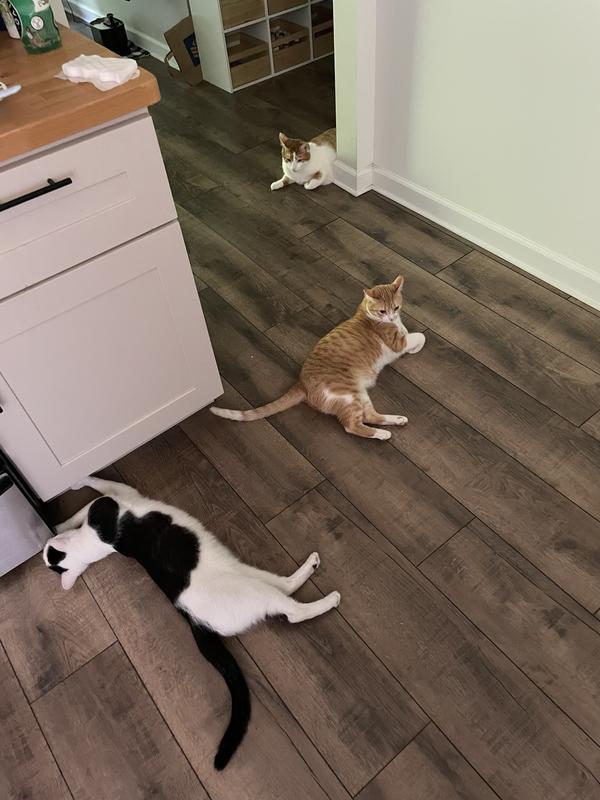 Withering away because dinner was 2 minutes late