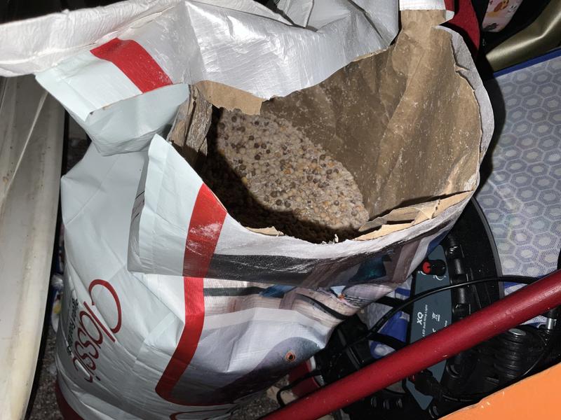 Straight out of the bag