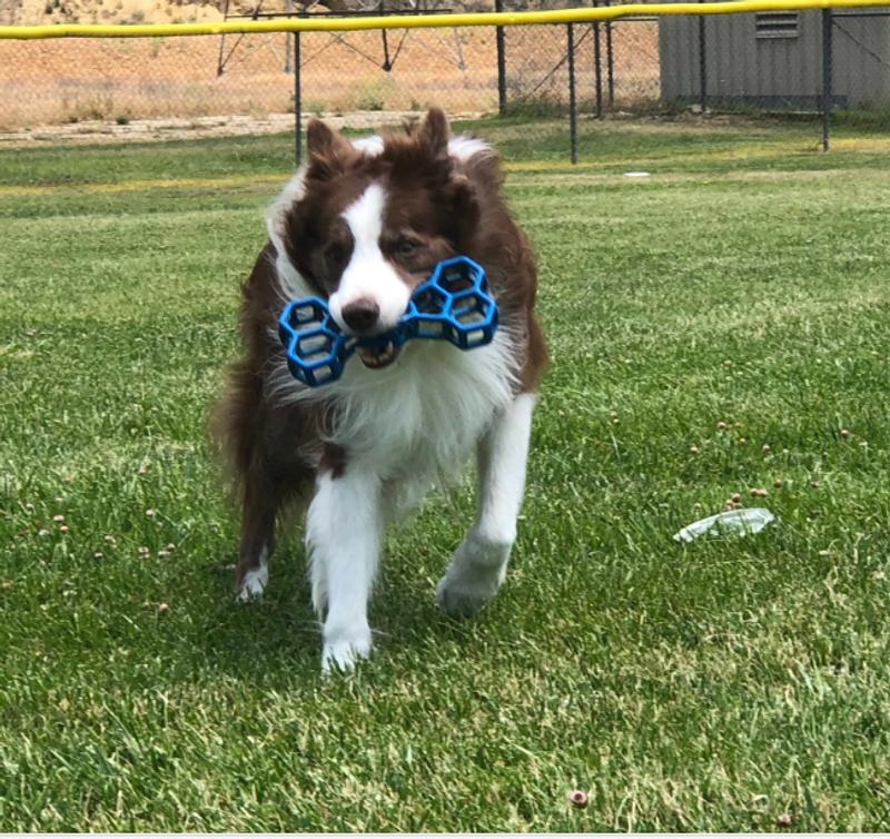 He loves this toy!