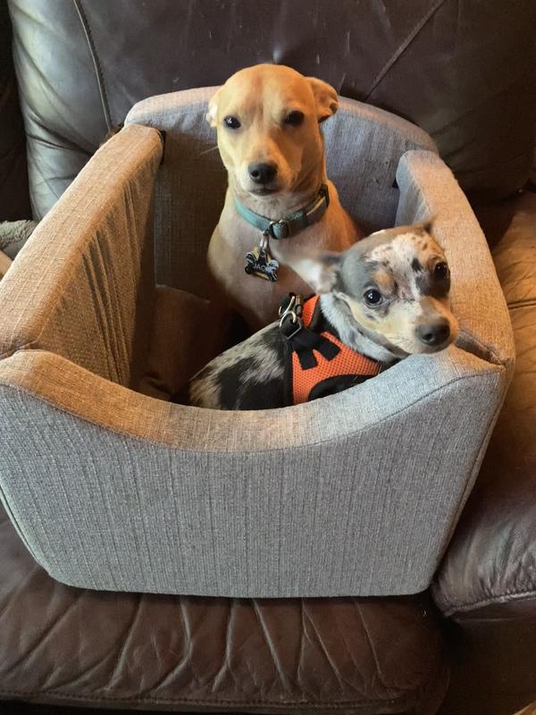 The seat is roomy enough for two and maybe even three! I wouldn’t recommend three small dogs in the seat for long trips, however. They wouldn’t have enough room to lay down, if so.