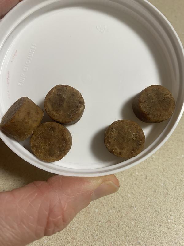 Probiotic chews