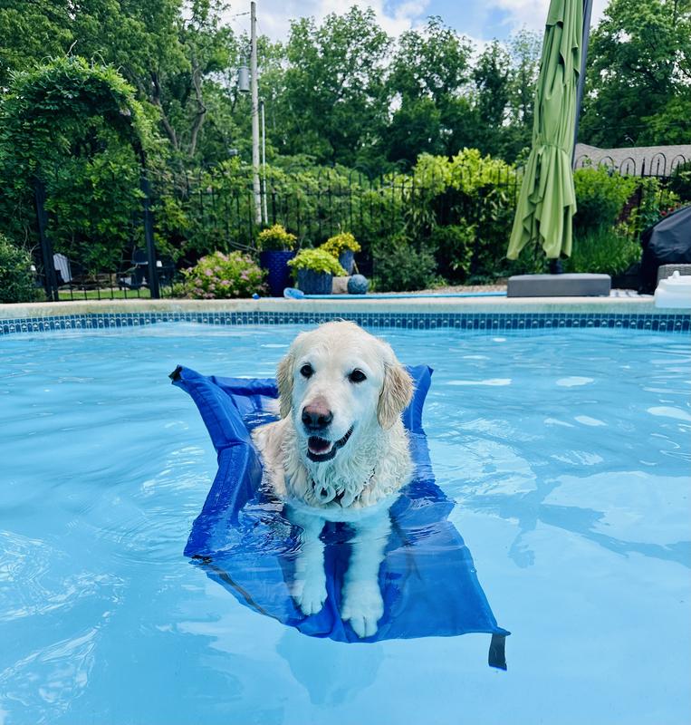 Best, most durable dog float out there!