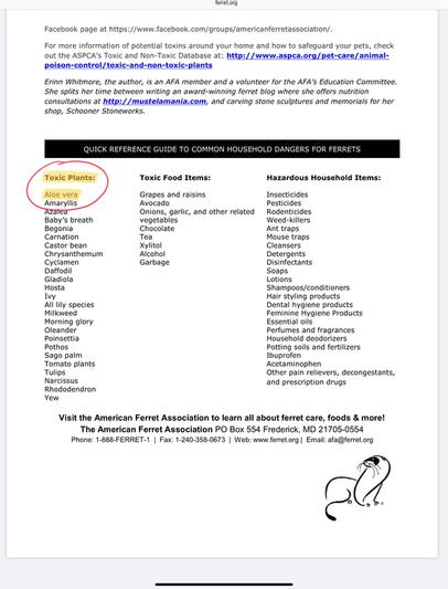 From the American Ferrets Association website