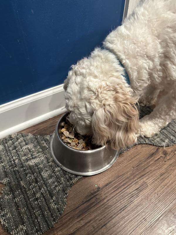 Product Reviews for FULL MOON Freshly Crafted Homestead Turkey